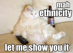 a white cat on a couch with some Bud Light. Let me show you mah ethnicity.