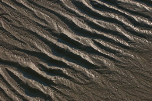 mud-ridges.jpg