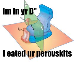 I'm in yr D double prime I eated ur perovskits
