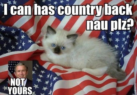 Kitteh: I can has country back nau plz? Bush: NOT YOURS